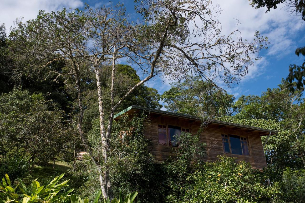 Cedrela Eco-Lodge & Restaurante Copey Exterior photo