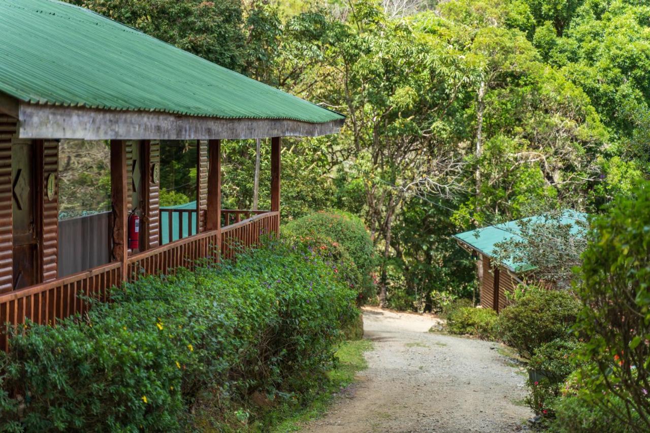 Cedrela Eco-Lodge & Restaurante Copey Exterior photo