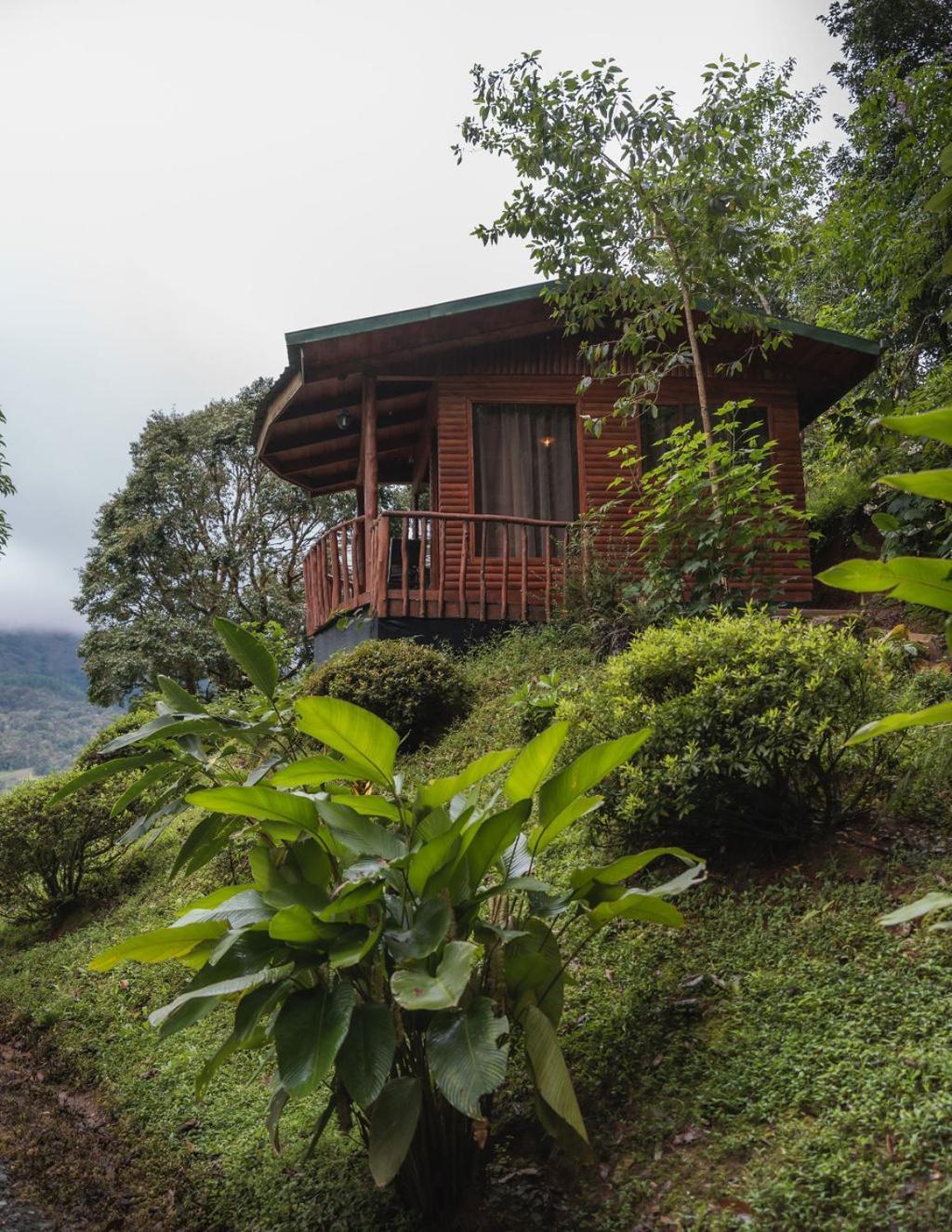 Cedrela Eco-Lodge & Restaurante Copey Exterior photo