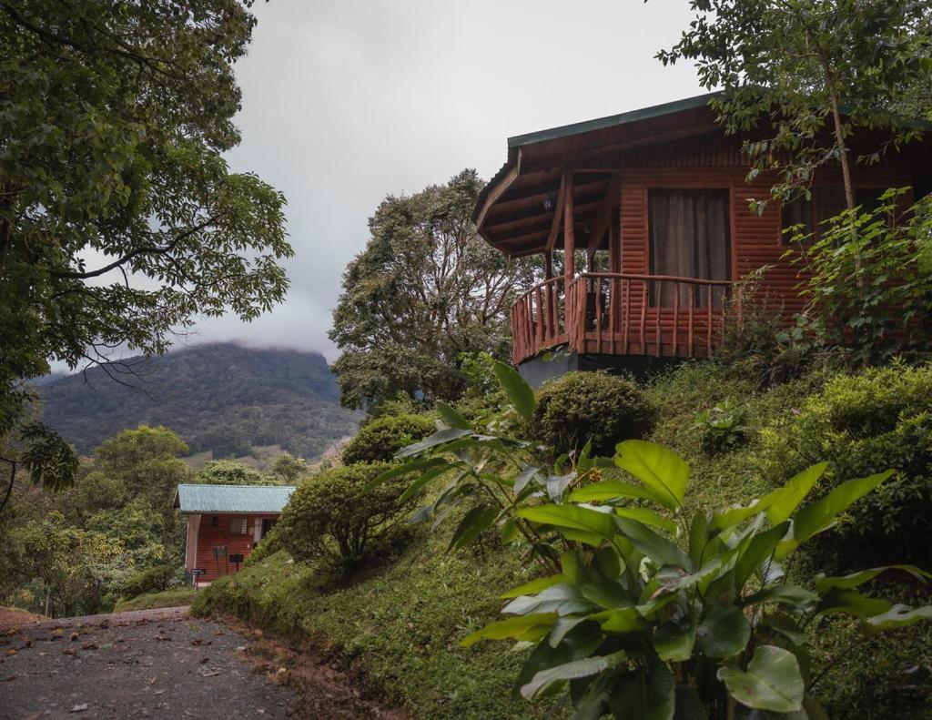 Cedrela Eco-Lodge & Restaurante Copey Exterior photo